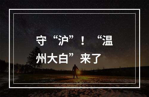 守“沪”！“温州大白”来了