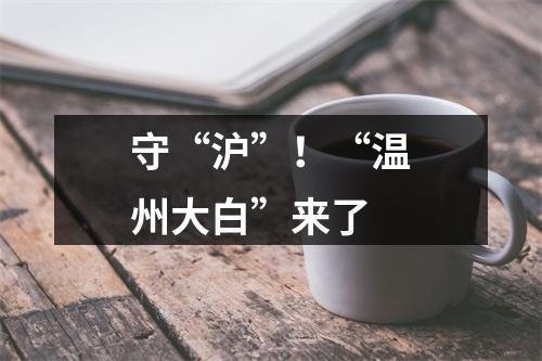 守“沪”！“温州大白”来了