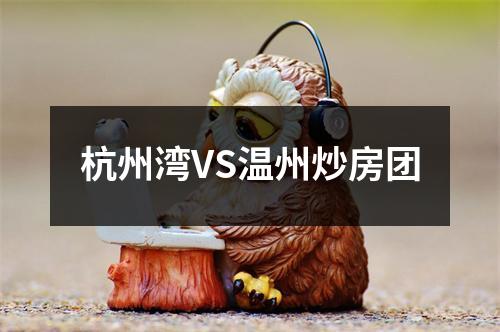 杭州湾VS温州炒房团