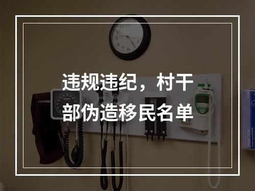 违规违纪，村干部伪造移民名单