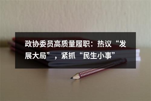 政协委员高质量履职：热议“发展大局”，紧抓“民生小事”