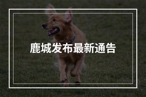 鹿城发布最新通告