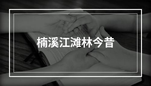 楠溪江滩林今昔