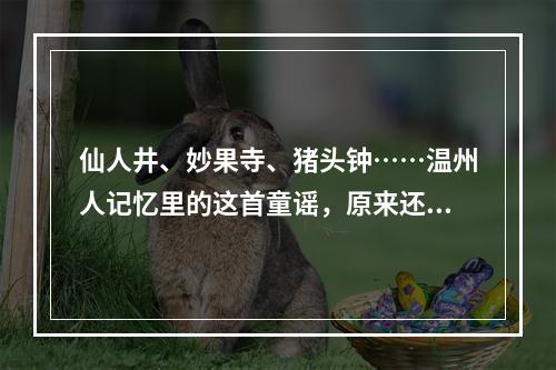 仙人井、妙果寺、猪头钟……温州人记忆里的这首童谣，原来还有这么多的幕后故事