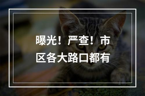 曝光！严查！市区各大路口都有