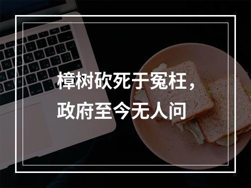 樟树砍死于冤枉，政府至今无人问
