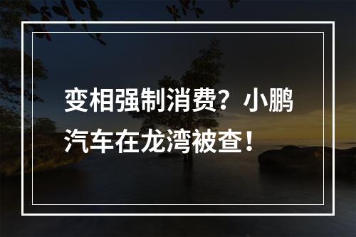 变相强制消费？小鹏汽车在龙湾被查！