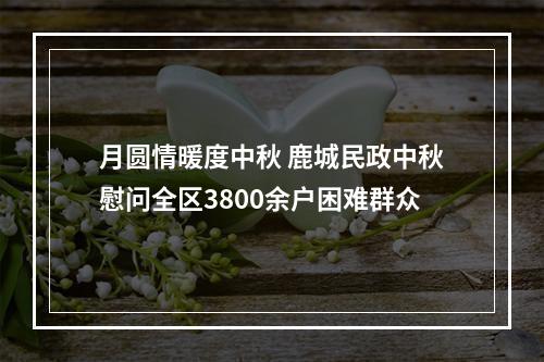 月圆情暖度中秋 鹿城民政中秋慰问全区3800余户困难群众