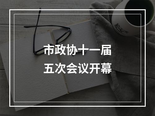 市政协十一届五次会议开幕