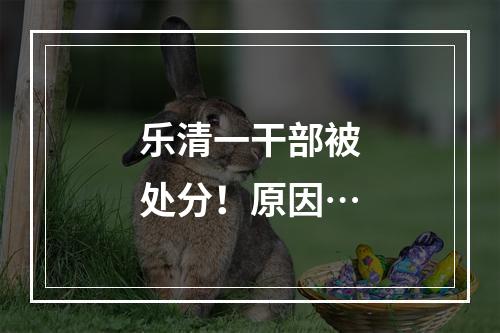 乐清一干部被处分！原因…
