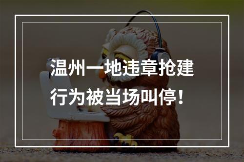 温州一地违章抢建行为被当场叫停！