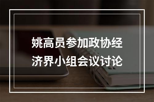 姚高员参加政协经济界小组会议讨论