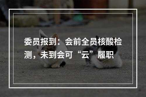委员报到：会前全员核酸检测，未到会可“云”履职