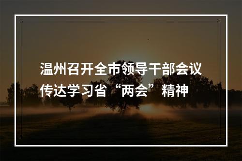 温州召开全市领导干部会议传达学习省“两会”精神
