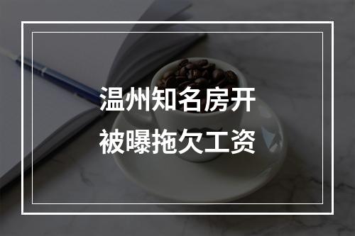 温州知名房开被曝拖欠工资