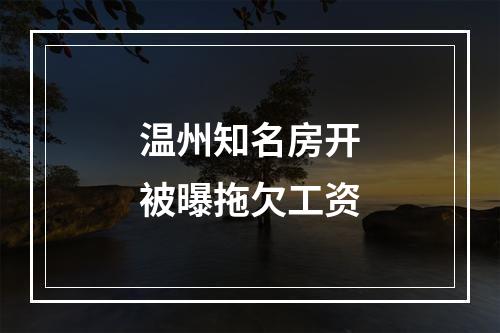 温州知名房开被曝拖欠工资