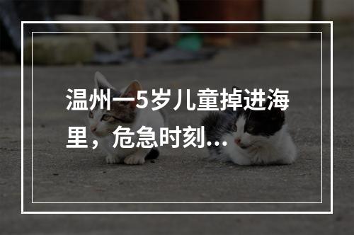 温州一5岁儿童掉进海里，危急时刻...