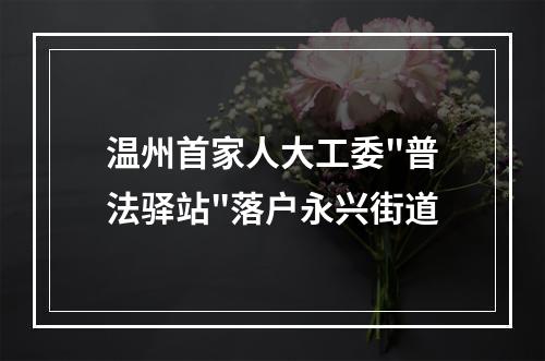 温州首家人大工委