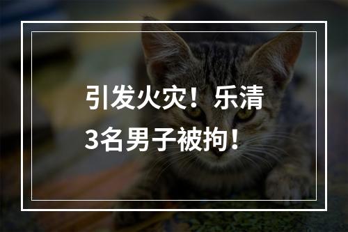 引发火灾！乐清3名男子被拘！