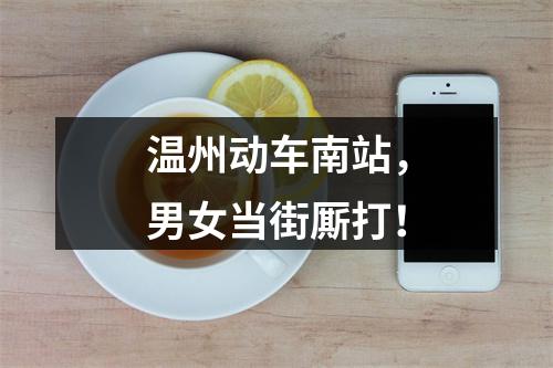 温州动车南站，男女当街厮打！