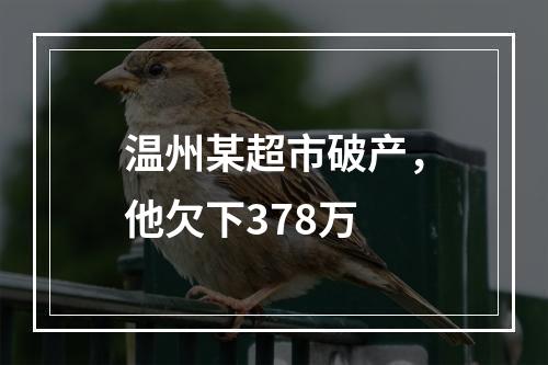 温州某超市破产，他欠下378万