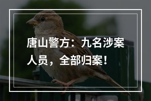 唐山警方：九名涉案人员，全部归案！