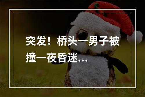 突发！桥头一男子被撞一夜昏迷...