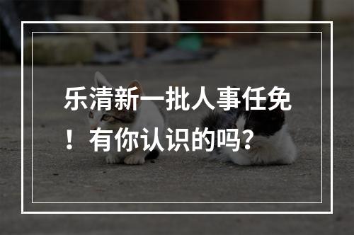 乐清新一批人事任免！有你认识的吗？