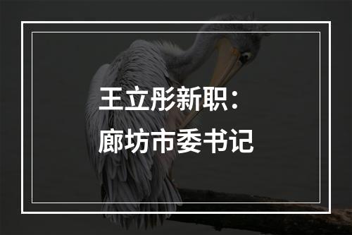 王立彤新职：廊坊市委书记