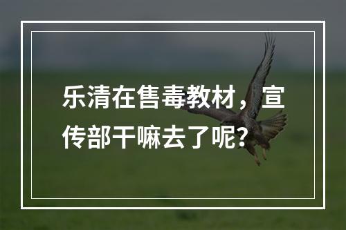 乐清在售毒教材，宣传部干嘛去了呢？
