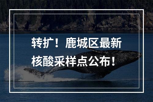转扩！鹿城区最新核酸采样点公布！