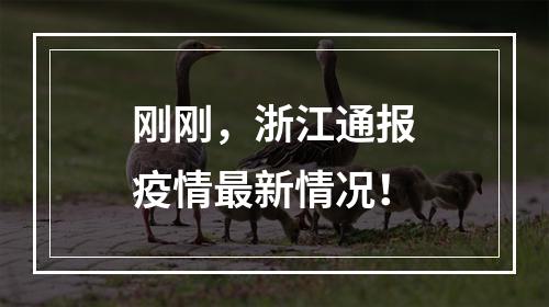 刚刚，浙江通报疫情最新情况！