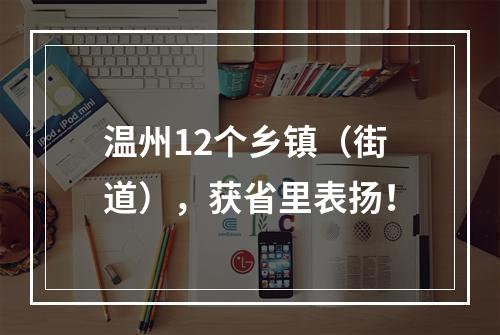 温州12个乡镇（街道），获省里表扬！