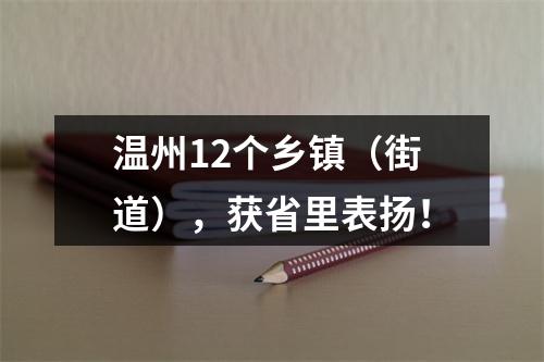 温州12个乡镇（街道），获省里表扬！