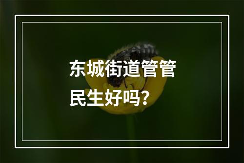 东城街道管管民生好吗？