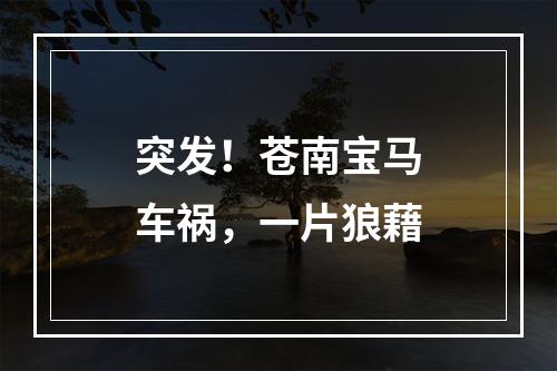突发！苍南宝马车祸，一片狼藉