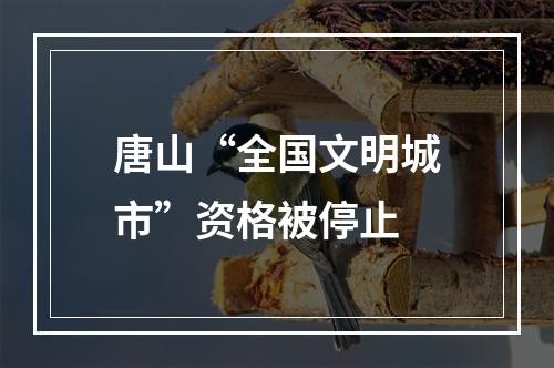 唐山“全国文明城市”资格被停止
