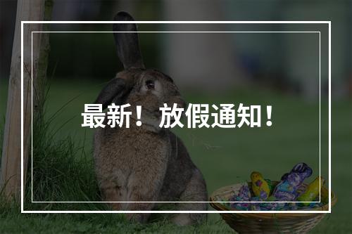 最新！放假通知！