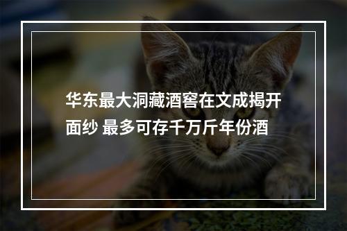 华东最大洞藏酒窖在文成揭开面纱 最多可存千万斤年份酒