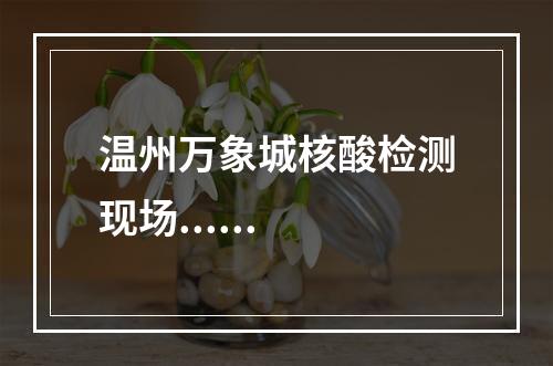 温州万象城核酸检测现场......