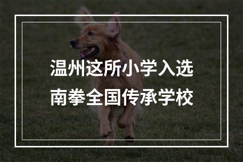 温州这所小学入选南拳全国传承学校