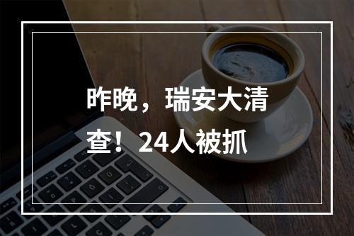 昨晚，瑞安大清查！24人被抓