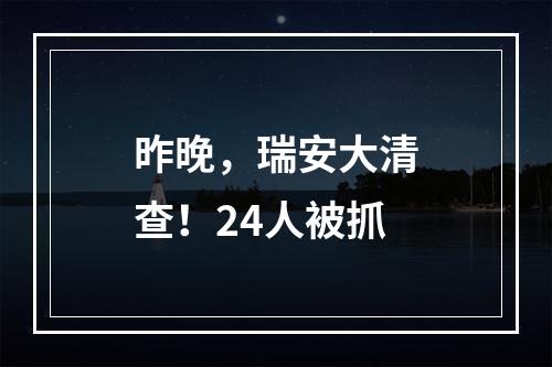 昨晚，瑞安大清查！24人被抓