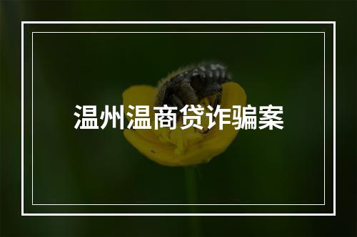 温州温商贷诈骗案