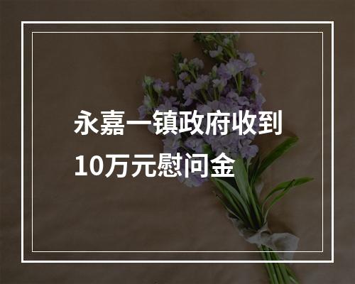 永嘉一镇政府收到10万元慰问金