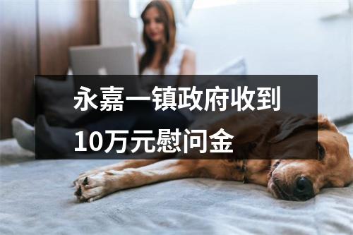 永嘉一镇政府收到10万元慰问金