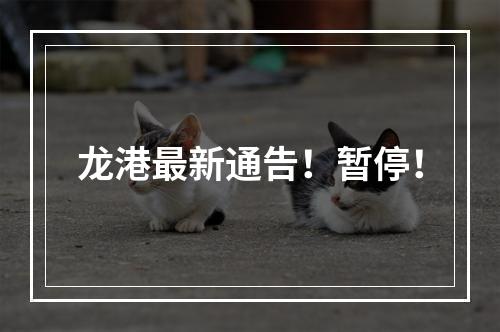 龙港最新通告！暂停！