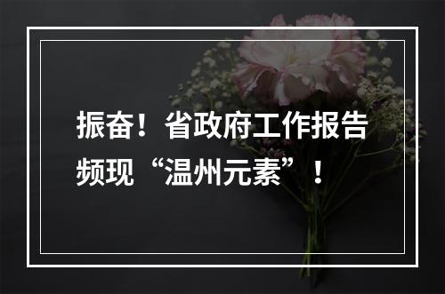 振奋！省政府工作报告频现“温州元素”！