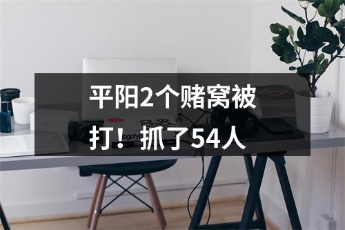 平阳2个赌窝被打！抓了54人