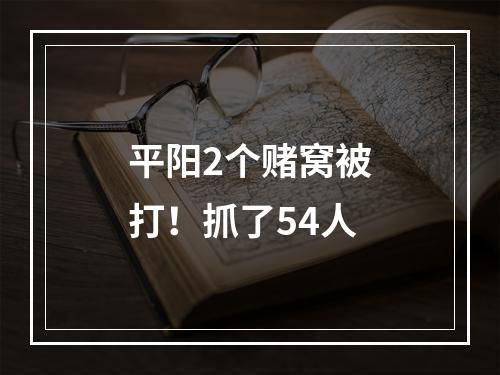 平阳2个赌窝被打！抓了54人